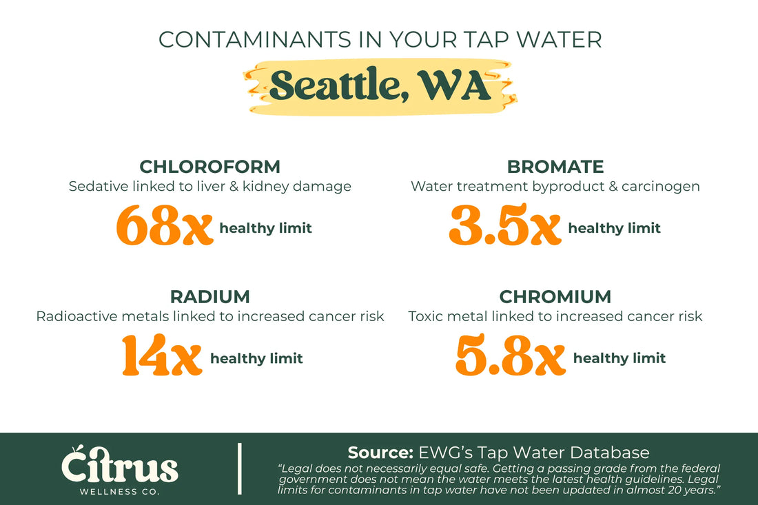 A diagram showing Seattle water contaminants that exceed healthy limits, including chloroform, bromate, radium, and chromium.