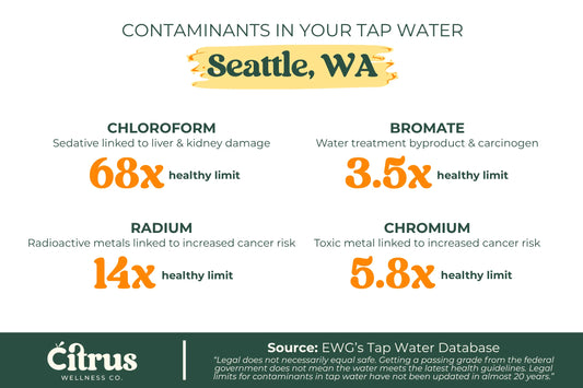 A diagram showing Seattle water contaminants that exceed healthy limits, including chloroform, bromate, radium, and chromium.