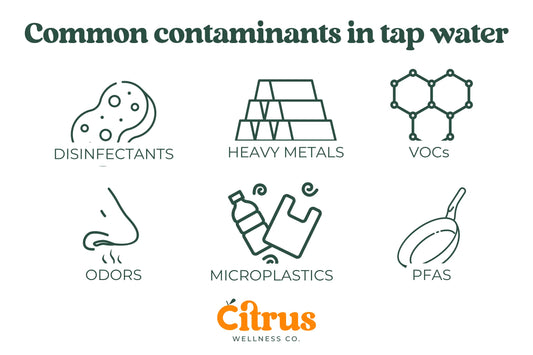 A diagram showing common tap water contaminants: Disinfectants, heavy metals, VOCs, odors, microplastics, and PFAS.