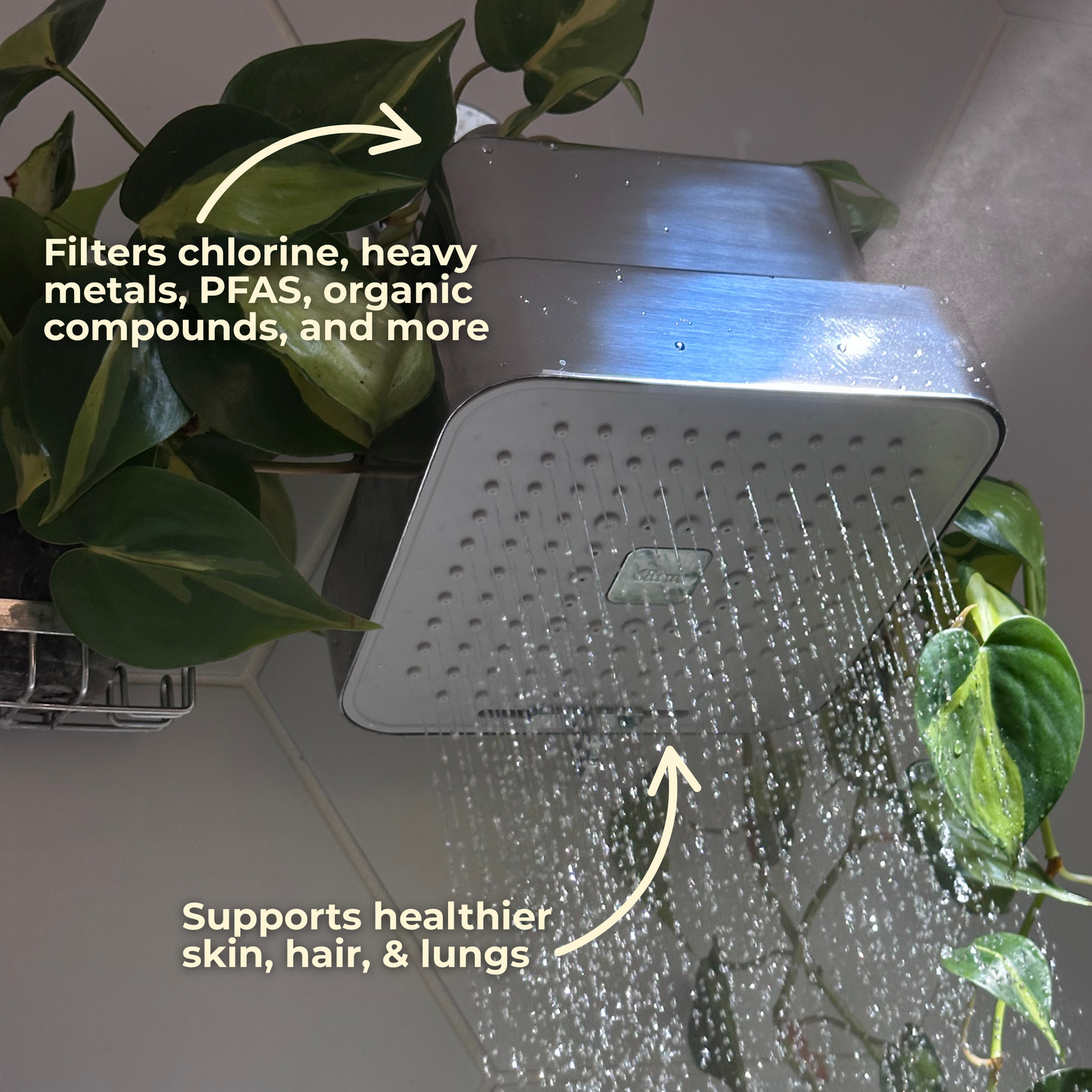 Citrus Filtered Showerhead