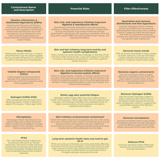 Table detailing common tap water contaminants, describing their associated risks, and outlining how the Citrus shower filter reduces or removes them from the water. Common contaminants include chlorine and disinfection byproducts, heavy metals, organic compounds, hydrogen sulfide, microplastics, and PFAS. Risks range from dry or fragile skin and hair to liver, kidney, and reproductive effects.