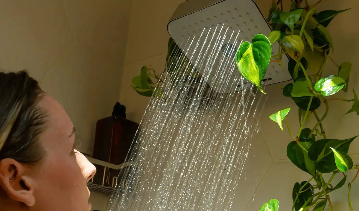 Citrus vitamin C filtered showerhead