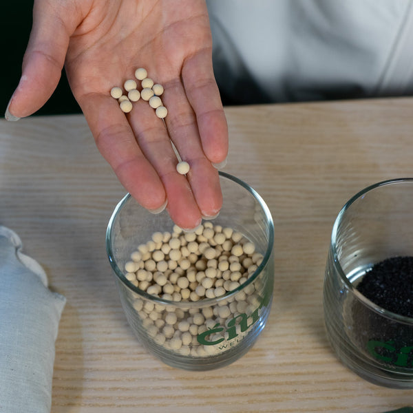 Hand pouring small white beans into a glass container on a wooden surface